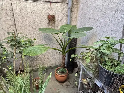 Av. Cazón  al 1400