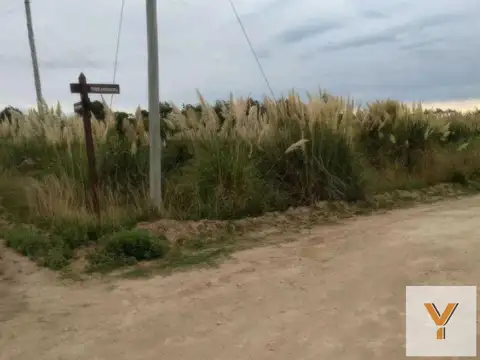 Terreno en Venta en Coronel Dorrego, USD 30.000
