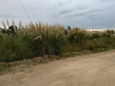 Tucumán y Jujuy