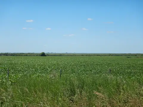 188 hectáreas de aptitud agrícola - Colonia Angeloni - San Justo - Santa Fe