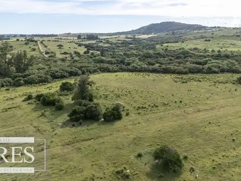ruta12