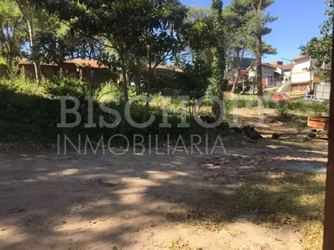 Terreno en Venta en Centro, USD 550.000