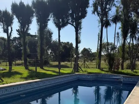 Almafuerte 3900