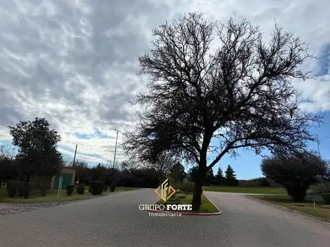 Terreno en venta- Causana