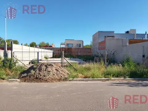 Terreno en Venta 12  mts Frente