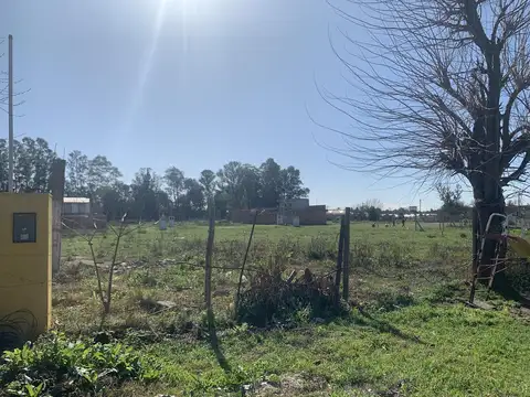 Terreno - Cesar Diaz - Mzn 77B Lote 8 - Loteo San Felipe