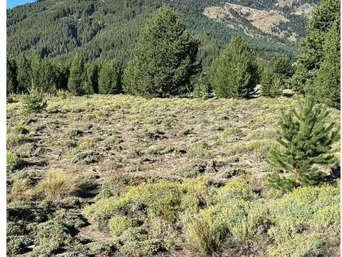 VENTA DE LOTE MELIQUINA NEUQUEN 