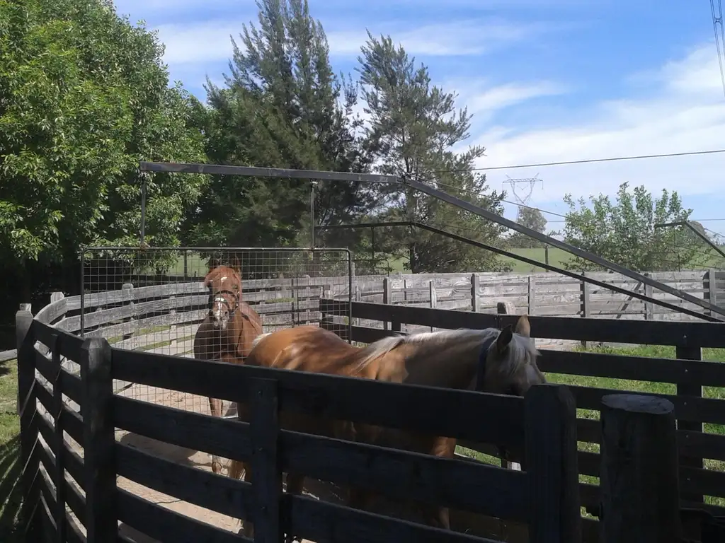 Actividades deportivas futbol, tenis en Altos de Manzanares