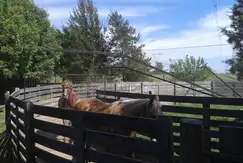 Actividades deportivas futbol, tenis en Altos de Manzanares en G.B.A. Zona Norte