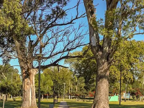 Terreno en Venta de 250,0 m2