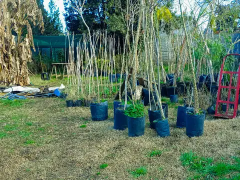 Casa en Venta al Noreste