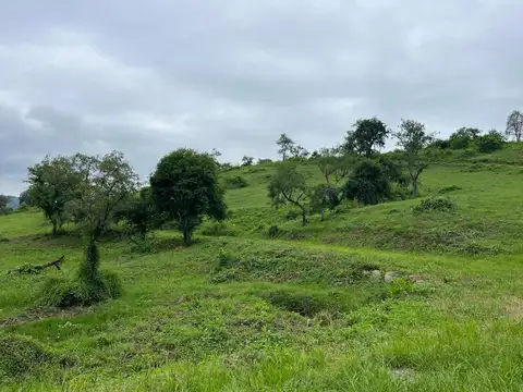Las Corzuelas, La Hoyada