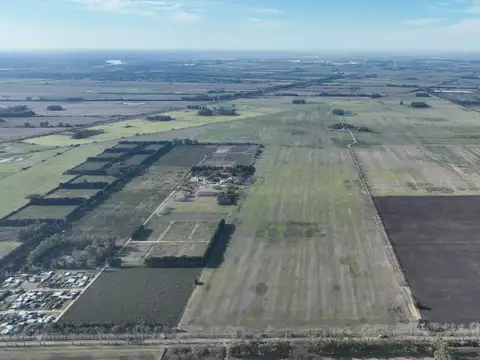 Campo en Venta de 433  ha