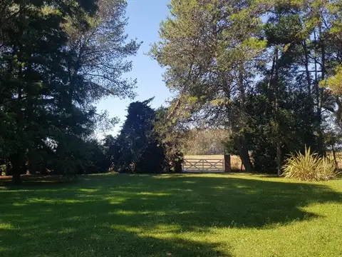 Campo en Venta de 433  ha