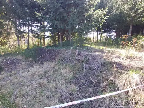 Del Pehuen  al 200