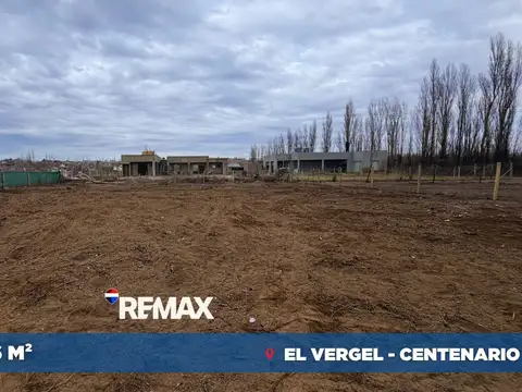 Terreno en Venta en Centenario, Confluencia