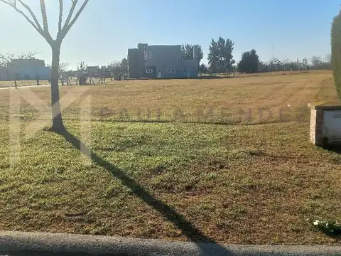 SAN MATIAS ESCOBAR 100