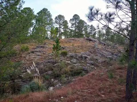 Terreno en Venta de 5834,0 m2