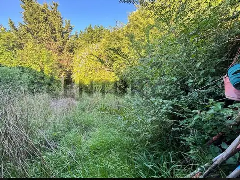 Terreno en Venta 40  mts Fondo