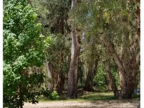 LOTE EN BARRIO EL DESCANSO LA LUCILA DEL MAR (PINAR)