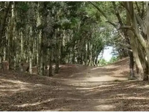 Terreno en Venta en La Lucila del Mar, USD 28.500