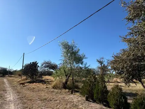 Terreno en Venta de 2500,0 m2