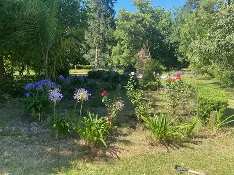 Terreno en Venta 25  mts Frente