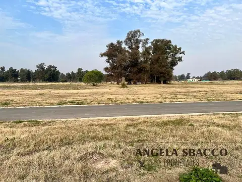 Ruta 192, Pinares, Exaltación De La Cruz.