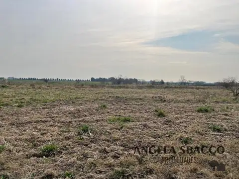 Ruta 192, Pinares, Exaltación De La Cruz.