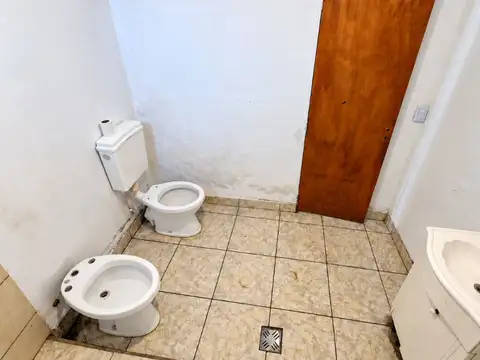 San Alejandro 100
