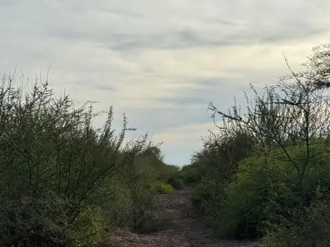 VENTA DE CAMPO EN FERNANDEZ - SANTIAGO DEL ESTERO