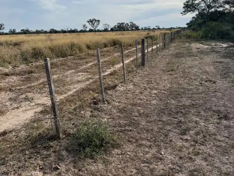 VENTA DE CAMPO EN FERNANDEZ - SANTIAGO DEL ESTERO