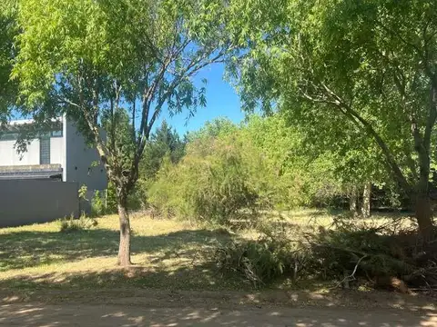 Terreno en Venta 40  mts Fondo