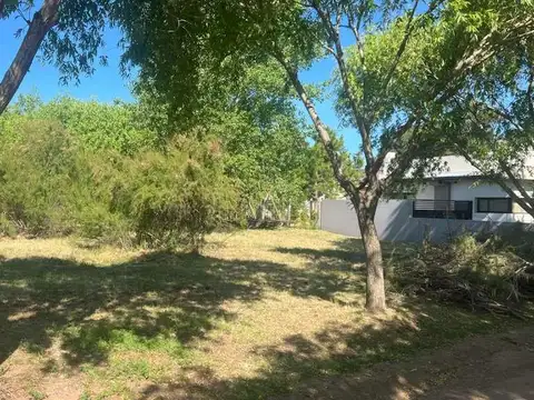 MADARIAGA E/RIAL Y CANDIOTTI