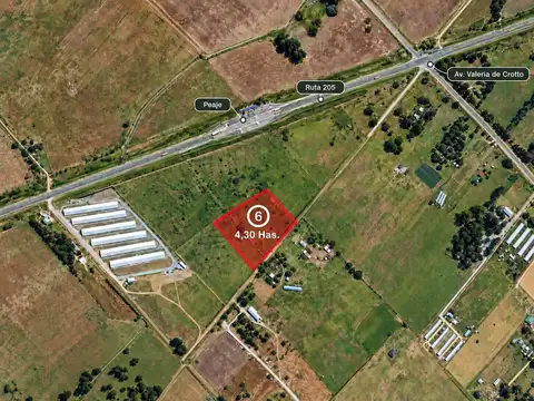 REBAJADO CAMPO 4,30 HA. – URIBELARREA - A MTS. PEAJE RN 205