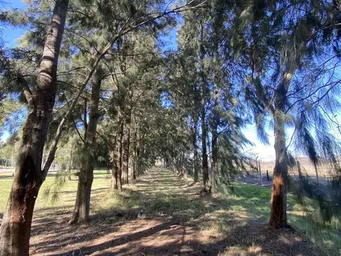 Terreno en Venta de 911,0 m2