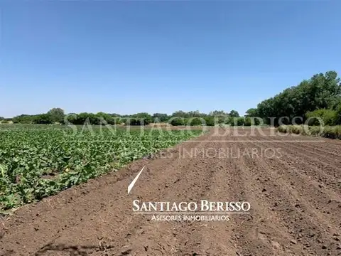 Terreno Campo  en Venta ubicado en Parada Robles, Exaltación de la Cruz, G.B.A. Zona Norte
