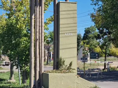 Roque Saenz Peña al 4000