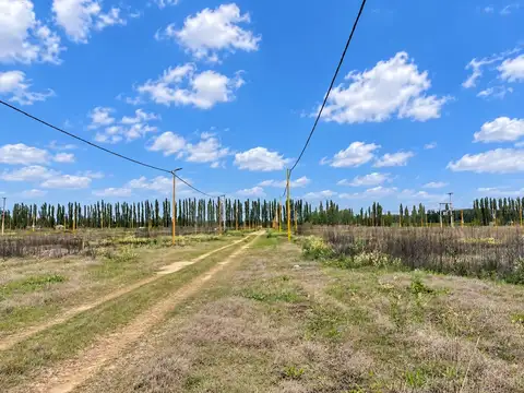 Lote 19 Mzna 17, Loteo La Rufina I, Cervantes, Rio Negro 100
