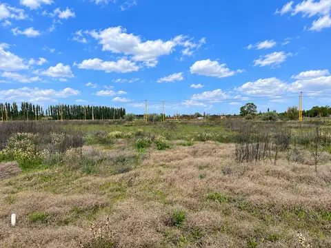 TERRENO EN VENTA EN LA RUFINA I EN CERVANTES