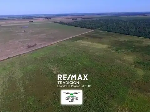 Campo en Venta – 77has Colonia José Mármol