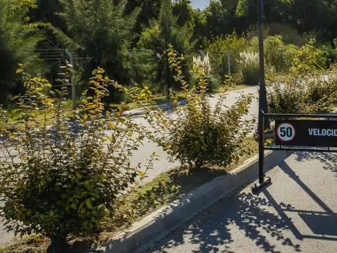 Terreno en Venta - San Matías, Área 1