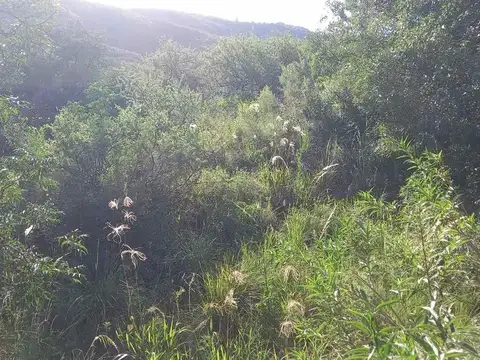 VENTA LOTE TIERRALTA 843 M2 - GAS NATURAL Y VISTAS