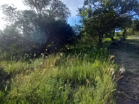 Terreno en Venta de 843,0 m2