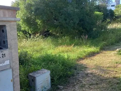 Colectora 100