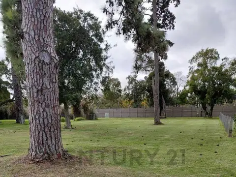 Lote en venta en Greenville