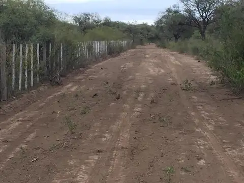 Campo 94 Ha Ganadero En Venta En Villa De Soto