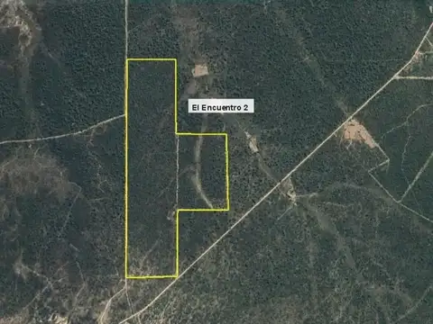 Campo 94 Ha Ganadero En Venta En Villa De Soto
