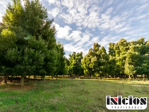 Terreno en Venta de 50700,0 m2