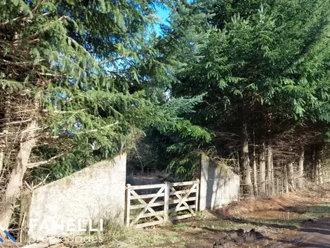 Terreno en Venta, FOT 30